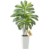 Vevor Kunstmatige Dracaena