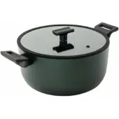Sambonet Sauspan Titan Pro Green Double Induction 2 Handles 24 cm