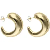NAEMI Oorbellen goud