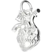 MOOYE ® - Collectie Zilveren Menselijk hart kettinghanger