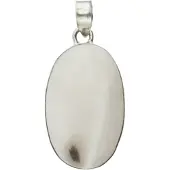 MOOYE ® - Collectie Zilveren Dendriet Opaal edelsteen ovaal groot hanger