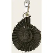MOOYE ® - Collectie Zilveren Ammoniet versteende schelp negatief kettinghanger