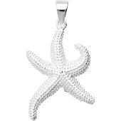 MOOYE ® - Collectie Zilveren Zeester groot kettinghanger