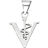 MOOYE ® - Collectie Zilveren Esculaap vlak kettinghanger
