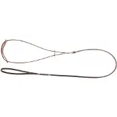 Dingo Ring Leren Hondenhalsband 0,6x150cm Bruin