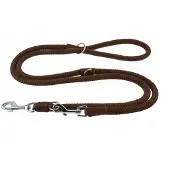 Champion Verstelbare Hondenlijn 5m x 1.4cm - Bruin, Robuust