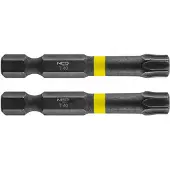 Neo Tools Slagbits TX40 x 50mm - 2 Stuks