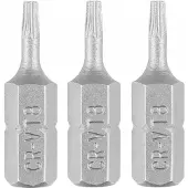 Graphite GRAFIET Torx-bits T8 x 25 mm - 3 stuks