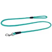 Champion Hondenlijn Traditioneel 1.2m/0.6cm Turquoise voor Kleine Honden