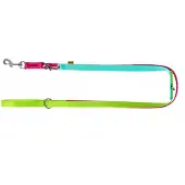 Dingo Active Verstelbare Hondenlijn Brasil 1cm x 220cm Roze/Mint/Groen