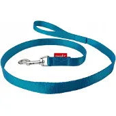 Champion Hondenlijn Band 120cm Breed 2cm - Stevig & Kleurrijk