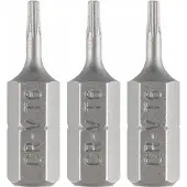 Graphite Torx-bit T6 x 25 mm - Set van 3