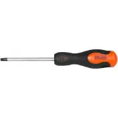 Richmann Torx Schroevendraaier T10 x 100mm Cr-Mo Magnetisch