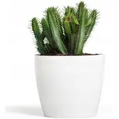 Magnolia Glanzende Witte Pot, Diameter 36 cm, Hoogte 31,6 cm