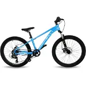 RALI Pro 1 24´´ Ty300 Mountainbike
