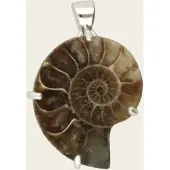 MOOYE ® - Collectie Zilveren Ammoniet versteende schelp negatief kettinghanger