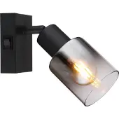 Globo Zwarte wandlamp Hubertus met schakelaar