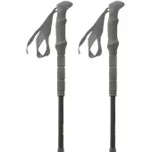 Pinguin Carbon Fl Foam Stokken