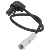 Delphi SS11232 Krukassensor