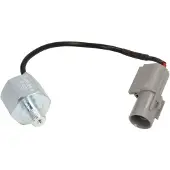 Delphi Klopsensor AS10252