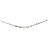 BLIC Sierlijst/beschermstrip, radiatorrooster 6502-07-8156211Q