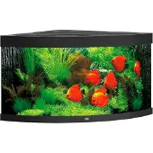 Gebr. De Boon Juwel aquarium Trigon 350 LED met filter zwart Juwel