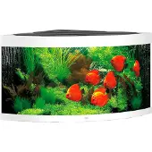 Gebr. De Boon Juwel aquarium Trigon 350 LED met filter wit Juwel
