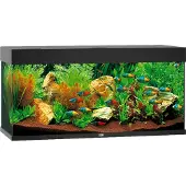 Juwel aquarium Rio 180 LED met filter zwart Juwel