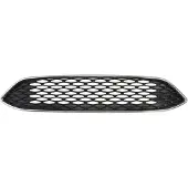 BLIC 6502-07-253699AP Radiator grill