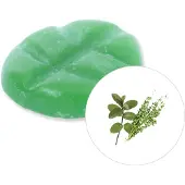 Scentchips Patchouli & Tijm - Geurblokjes - Huisparfum - Geurchips - Waxmelts - Geschikt voor Geurbrander en Waxbrander - XL - 38 Stuks