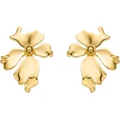 Luxenter Oorbellen 'Haiqua' goud