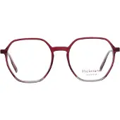 Ana Hickmann Optisch montuur HI6225 H03 50