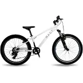 RALI Pro 1 24´´ Ty300 Mountainbike