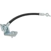Delphi LH7746 Remslang