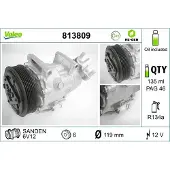 Valeo 813809 Aircopomp