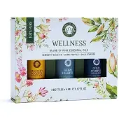 Song Of India - Wellness - Etherische Olie Set - 3 flesjes 5ml
