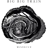 Sony music Big Big Train- Woodcut (LP)