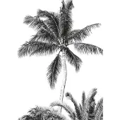 Overig Fotobehang Retro Palm - Meerkleurig - 2,80m X 200cm