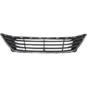 BLIC 6502-07-3171911P Ventilatiegrille, bumper