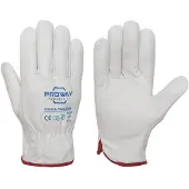 Proway Protection Driver PWH-1519V