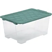 Rotho 1008105092, opbergbox, groen, transparant, rechthoekig, effen, voor binnenshuis, 44 liter
