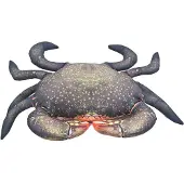 Gaby Het Modderkrab Medium Kussen Zilver