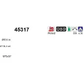 As 45317 Katalysator