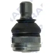 FRAP F3861 Fuseekogel