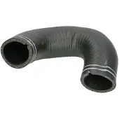 SASIC Laadluchtslang 3336262