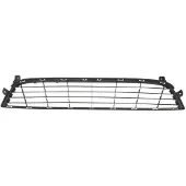 BLIC Ventilatierooster, bumper 6502-07-1311910P