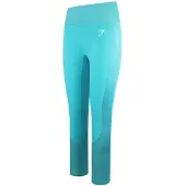 Gymshark Apex Dames Teal Legging