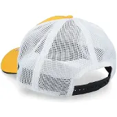 Fanatics Branded NHL Boston Bruins pet