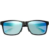 Breed Ras Pyxis titanium gepolariseerde zonnebril