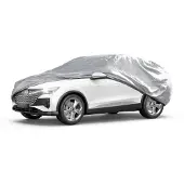 Walser, Robert 41198 Autohoes